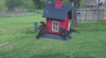 /Birds//Thumbs//found20250403-154423.png 