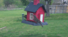 /Birds//Thumbs//found20250403-154506.png 