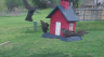 /Birds//Thumbs//found20250403-154549.png 