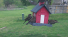 /Birds//Thumbs//found20250403-154552.png 