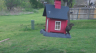 /Birds//Thumbs//found20250403-155108.png 