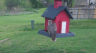 /Birds//Thumbs//found20250403-155612.png 