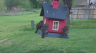 /Birds//Thumbs//found20250403-161040.png 
