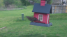 /Birds//Thumbs//found20250403-165207.png 