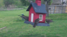 /Birds//Thumbs//found20250403-165519.png 