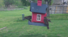 /Birds//Thumbs//found20250403-174249.png 