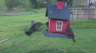/Birds//Thumbs//found20250403-174301.png 