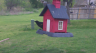/Birds//Thumbs//found20250403-192535.png 