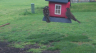 /Birds//Thumbs//found20250404-155508.png 