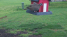 /Birds//Thumbs//found20250404-160229.png 