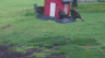/Birds//Thumbs//found20250404-162315.png 