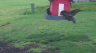 /Birds//Thumbs//found20250404-162555.png 