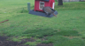 /Birds//Thumbs//found20250404-162811.png 