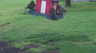 /Birds//Thumbs//found20250404-162817.png 