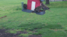 /Birds//Thumbs//found20250404-162821.png 