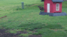 /Birds//Thumbs//found20250404-165639.png 