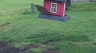 /Birds//Thumbs//found20250404-165718.png 