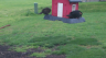 /Birds//Thumbs//found20250404-170309.png 