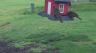 /Birds//Thumbs//found20250404-170742.png 