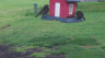 /Birds//Thumbs//found20250404-171325.png 