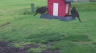 /Birds//Thumbs//found20250404-171416.png 