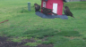 /Birds//Thumbs//found20250404-174753.png 