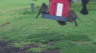 /Birds//Thumbs//found20250404-175151.png 