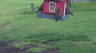 /Birds//Thumbs//found20250404-175535.png 