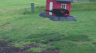 /Birds//Thumbs//found20250404-181009.png 