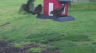 /Birds//Thumbs//found20250404-183506.png 