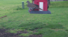 /Birds//Thumbs//found20250404-183642.png 