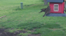/Birds//Thumbs//found20250405-142618.png 