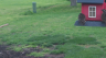 /Birds//Thumbs//found20250405-145119.png 