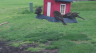 /Birds//Thumbs//found20250405-145249.png 