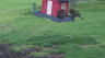 /Birds//Thumbs//found20250405-150212.png 