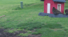 /Birds//Thumbs//found20250405-150250.png 