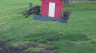 /Birds//Thumbs//found20250405-152052.png 