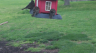 /Birds//Thumbs//found20250405-152210.png 