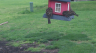 /Birds//Thumbs//found20250405-152259.png 