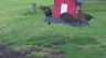 /Birds//Thumbs//found20250405-164519.png 