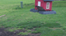 /Birds//Thumbs//found20250405-181611.png 