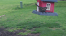 /Birds//Thumbs//found20250405-181753.png 