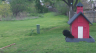 /Birds//Thumbs//found20250406-110929.png 