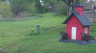 /Birds//Thumbs//found20250406-115110.png 