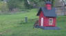 /Birds//Thumbs//found20250406-124702.png 