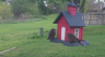 /Birds//Thumbs//found20250406-163304.png 