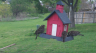 /Birds//Thumbs//found20250406-164905.png 