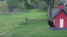 /Birds//Thumbs//found20250406-165504.png 