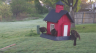 /Birds//Thumbs//found20250407-072958.png 