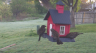 /Birds//Thumbs//found20250407-073140.png 